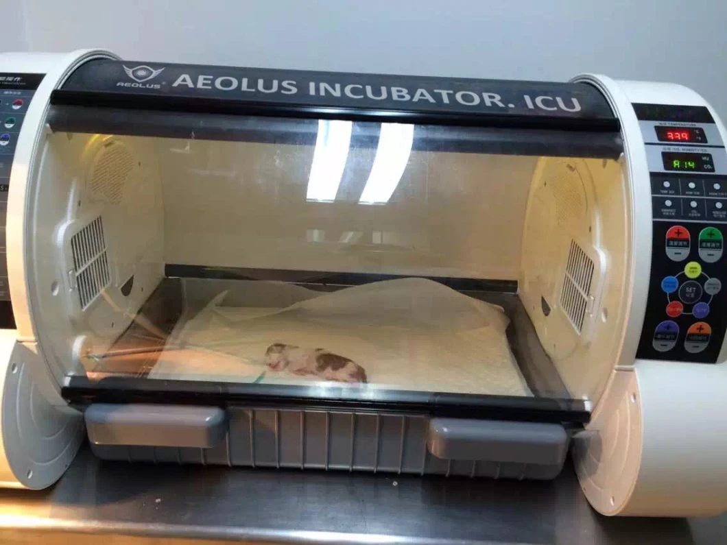 ICU Pet Incubator ICU Dog Incubator for Puppy Veterinary Incubator for Small Animals