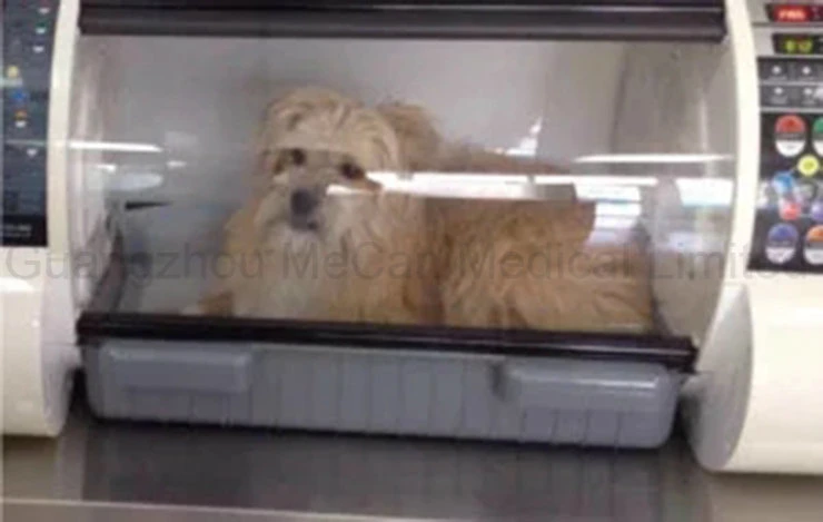 Veterinary ICU Pet Puppy Dog Incubator for Hospital